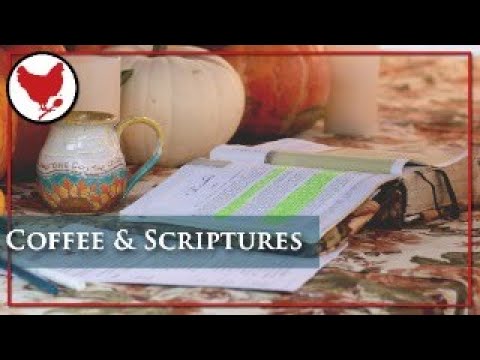 Coffee & Scriptures | Sabbath | Matthew 4-9