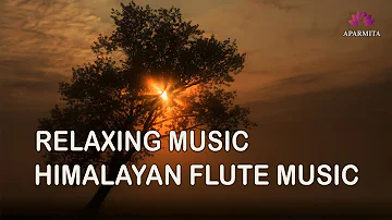 Flute Music | Morning Flute Music | Meditation Music | (बाँसुरी) Aparmita Ep. 163