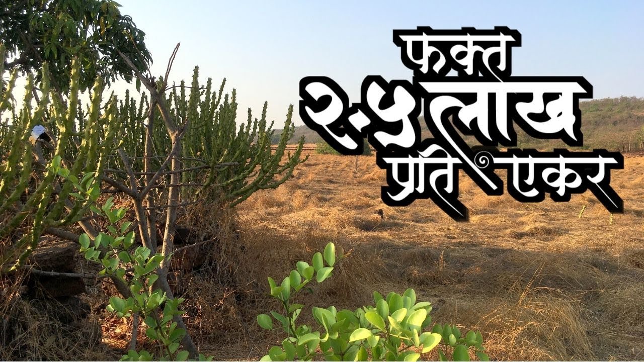 पावस जवळ फक्त २.५ लाख प्रती एकरी कोकणात जागा !