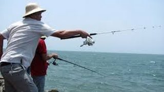 Noodling a 84lb flathead catfish in 1ft of water!!