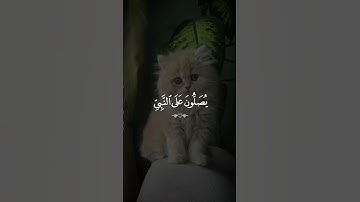 اكتب شيء تؤجر عليه ❤️😴 #القارئ احمد  العجمي