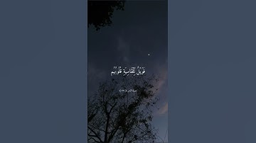 تلاوة خاشعة جميلة بصوت ماهر المعيقلي ارح سمعك#ماهر_المعيقلي 3