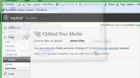 How to Upload Media on WordPress
