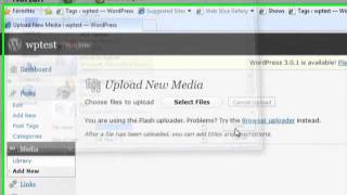 How to Upload Media on WordPress Net Worth