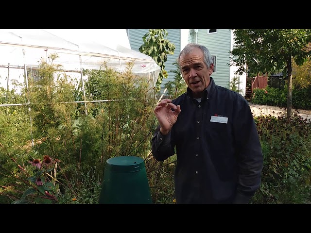 jardiner en bac - Serge Fortier