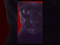 scary stories that make you pee your pants 19