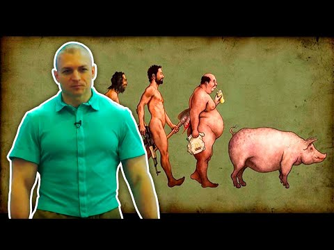 Деградация доступна для