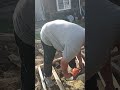 большой плотник