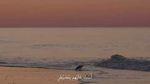 صوت من السماء ❤️ قرآن كريم