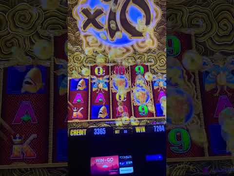 Seminole Hard Rock Hotel & Casino Hollywood (Fl) 25 - 08 - 23