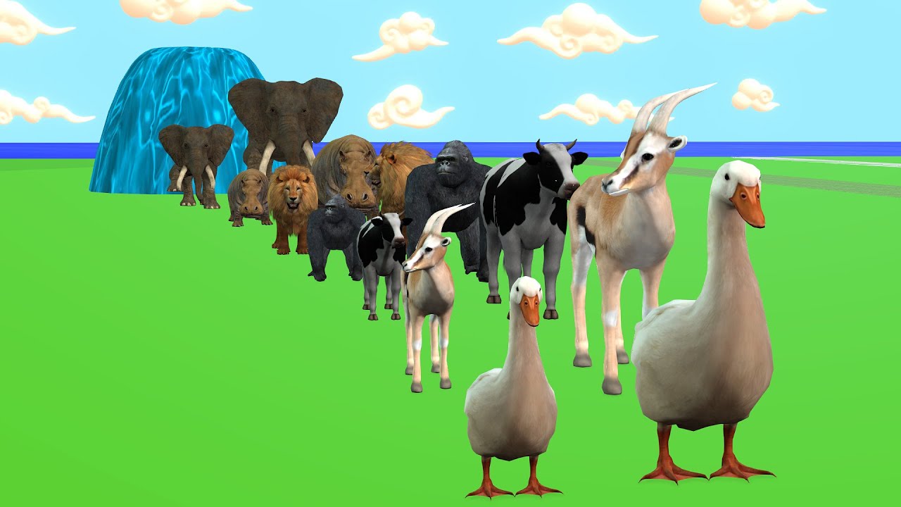 Long Slide Game with Cow Elephant Gorilla Hippopotamus Tiger 3d Animal Game Funny 3d Animals