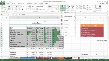 Conditional Formatting and Data Analysis in Excel 2013 (Office 365): Part 5 of 18