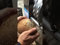 Old coconut paring machine 2