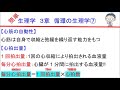 簡単生理学　３章　循環の生理学７（心臓の自動性・心拍出量）