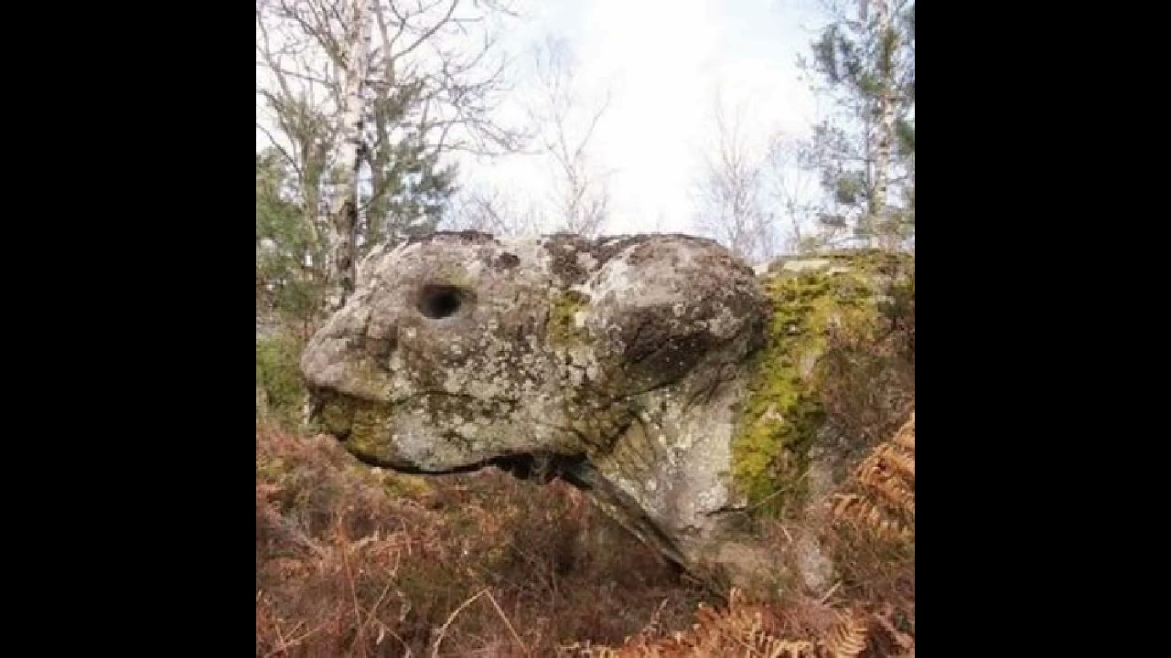 GIANTS TURNED TO STONE