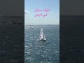 تركيه سباق الزوارق في البحر