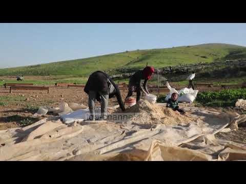 Video: Kush jeton në Bregun Perëndimor të Izraelit?