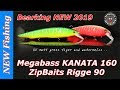 Megabass KANATA 160, ZipBaits Rigge 90, рыболовная футболка и силикон BEARKING