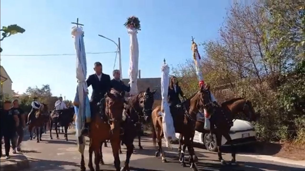 Processione/ Nostra Signora di Tergu/ 2023/8 Settembre/ Partenza/ 60Cavalli/ Carro a Buoi/ 3Km