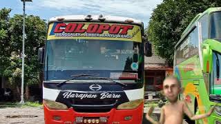 BUS Harapan Baru Colopot Story' .