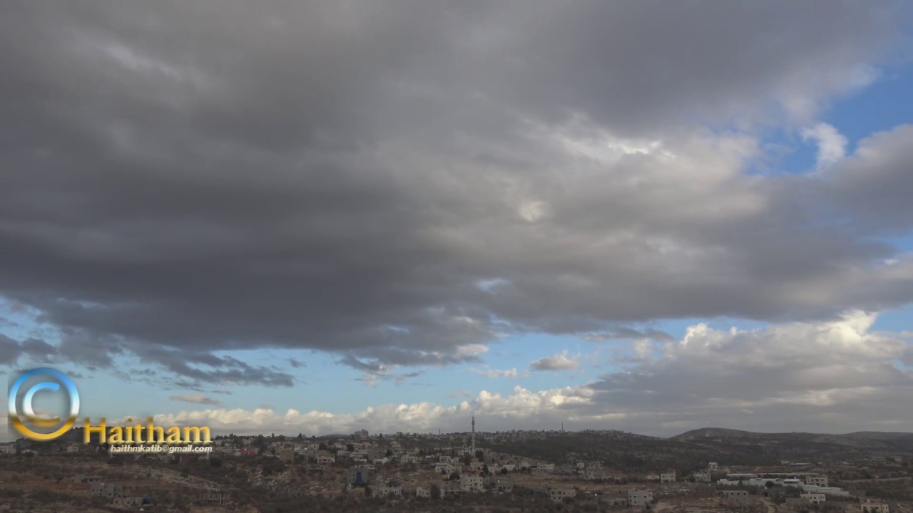palestine rain totals today palestine rain totals today