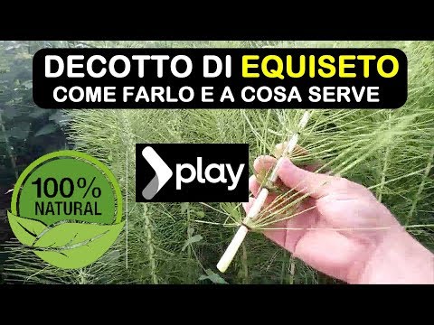 Video: Equiseto Per Capelli: è Efficace?