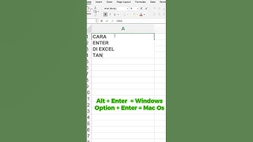 Cara enter di excel dalam 1 sel kolom #microsoft #excel #exceltricks