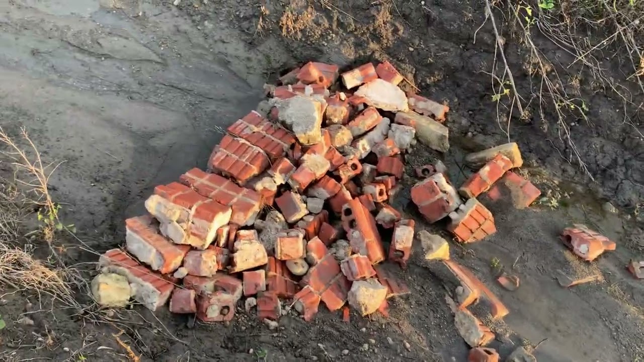 Sunrise, the Gully, and Planting Eastern Gamagrass - May 11, 2024