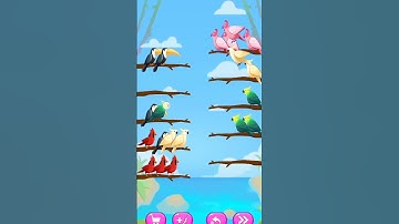 Bird sort - colour puzzle trailer game #