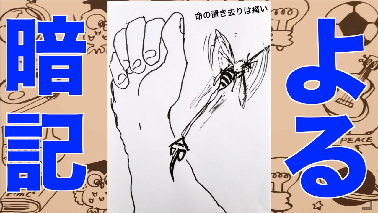 【最終回❗️】覚えやすい😁(年号)#200 日中平和友好条約1978年。年号ソング。絵や音楽や語呂合わせで楽しく覚える。『暗記チャンネル』あさ暗記はam6:00、よる暗記はpm8:00