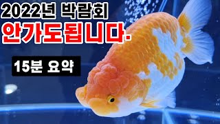 (4K)2022관상어 박람회 이것만 보면 끝납니다. 15분 몰아보기!