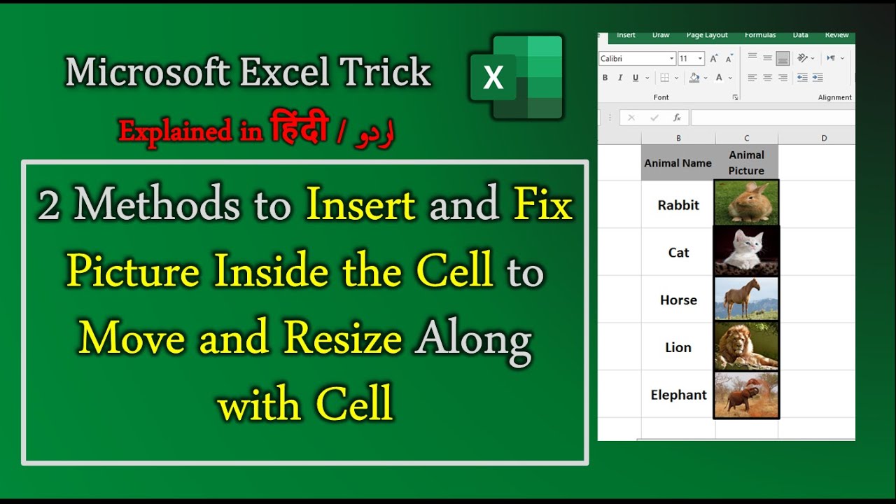 How To Insert Picture Inside Excel Cell 2 Methods To Insert And Fix How To Insert Picture Inside Excel Cell 2 Methods To Insert And Fix