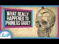 What Really Happened to Phineas Gage?