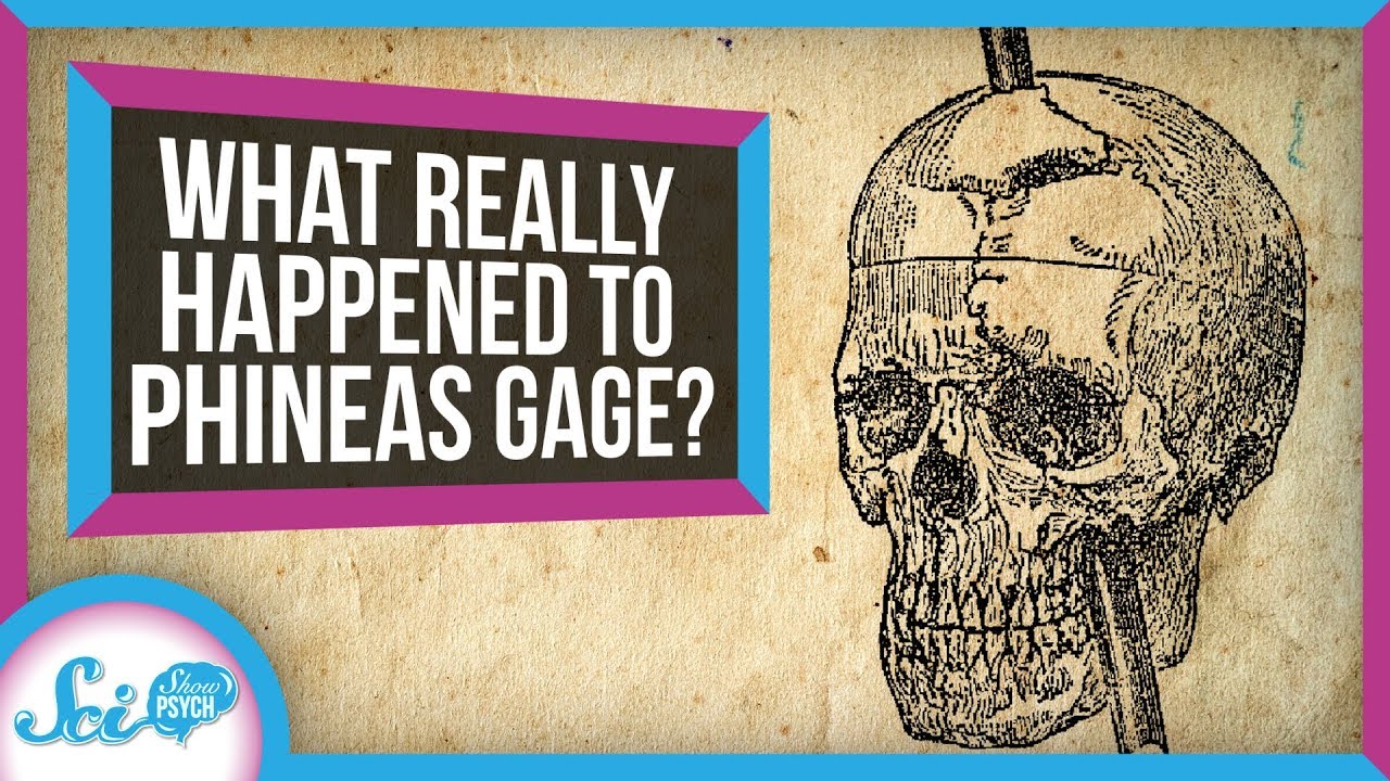 phineas gage book summary