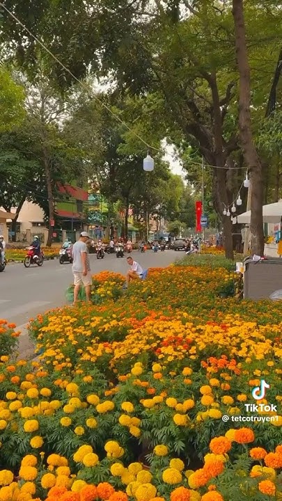 Tik tok tết 2025 ngắn p2#tiktok#tiktoktet2025#tết2025 - YouTube