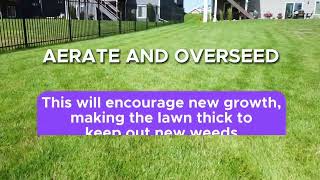 Simple and Effective ways to prevent weeds ?