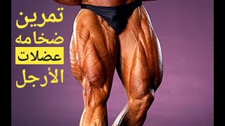 تمرين رجلين كامل /لزياده حجم وقوه عضلات الأرجل /legs +abs full workout