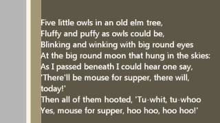 Five Little Owls