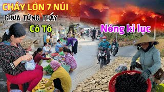 Khủng khiếp Cháy Lớn vùng 7 Núi - Nắng nóng 40 độ, bụi ngập đầu Núi Cô Tô