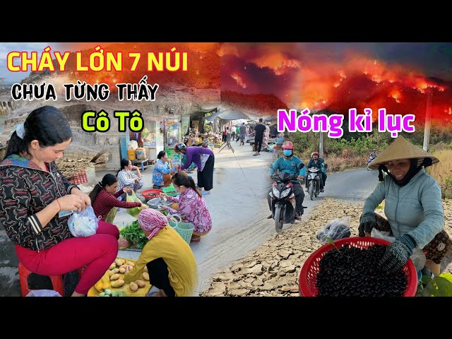 Khủng khiếp Cháy Lớn vùng 7 Núi - Nắng nóng 40 độ, bụi ngập đầu Núi Cô Tô class=