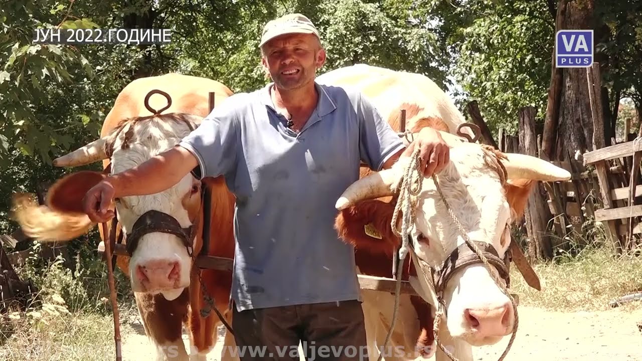 VALJEVO DANAS (20-01-2023)