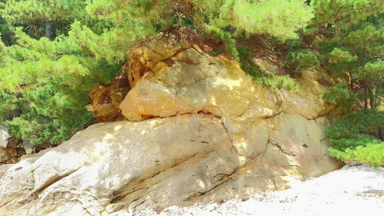 Members of rock family on the rock. The other rock.Rockhood alike