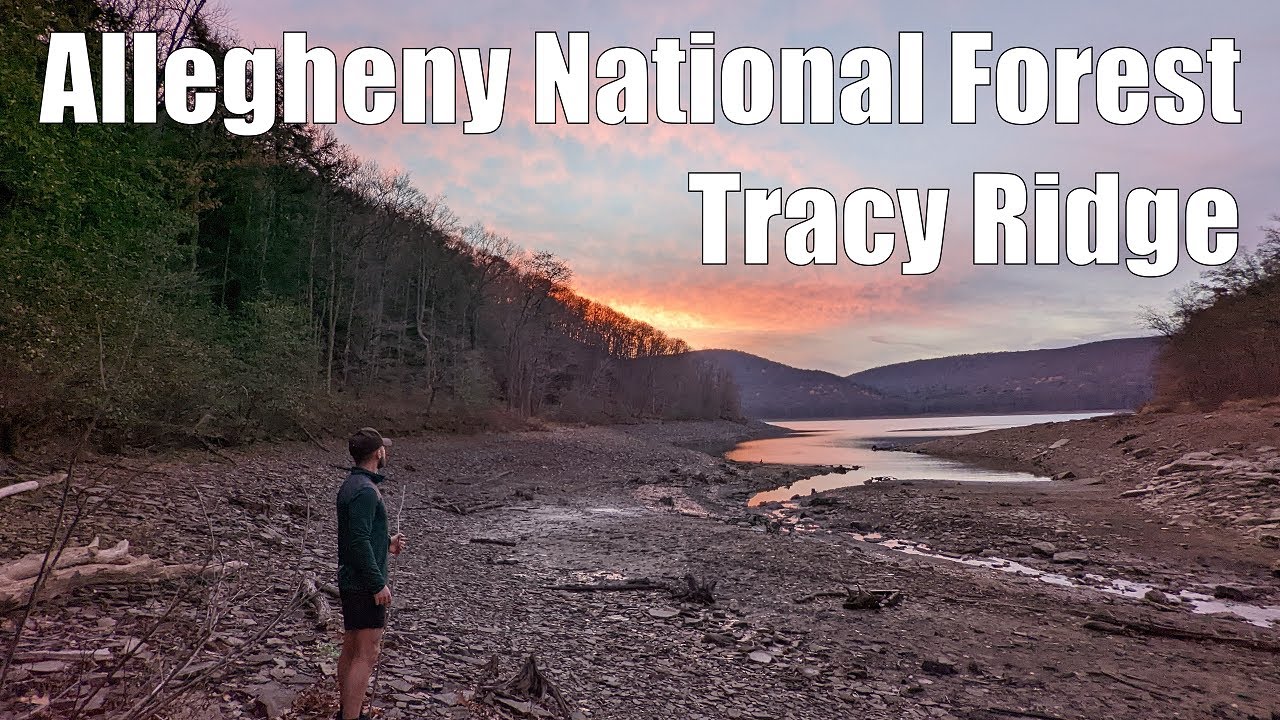 Overnight Backpacking Along the Allegheny Reservoir (Tracy Ridge)