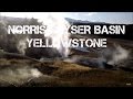 Norris Geyser Basin - Yellowstone - Summer 2016