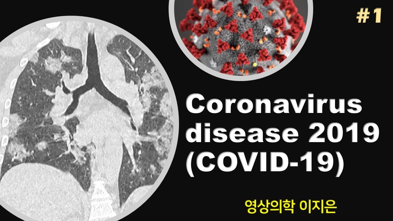 Coronavirus impact on traffic, air travel, public transportation