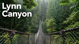 Lynn Canyon, Vancouver | Cinematic Rainy Forest Walk, Relaxing Piano, Bird Sounds & Gentle Rain, BC screenshot 3