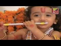 8 SHAMA NA DARSHAN I SHRINATHJI NI ZANKHI I MANGLA SE SHAYAN DARSHAN I Mp3 Song