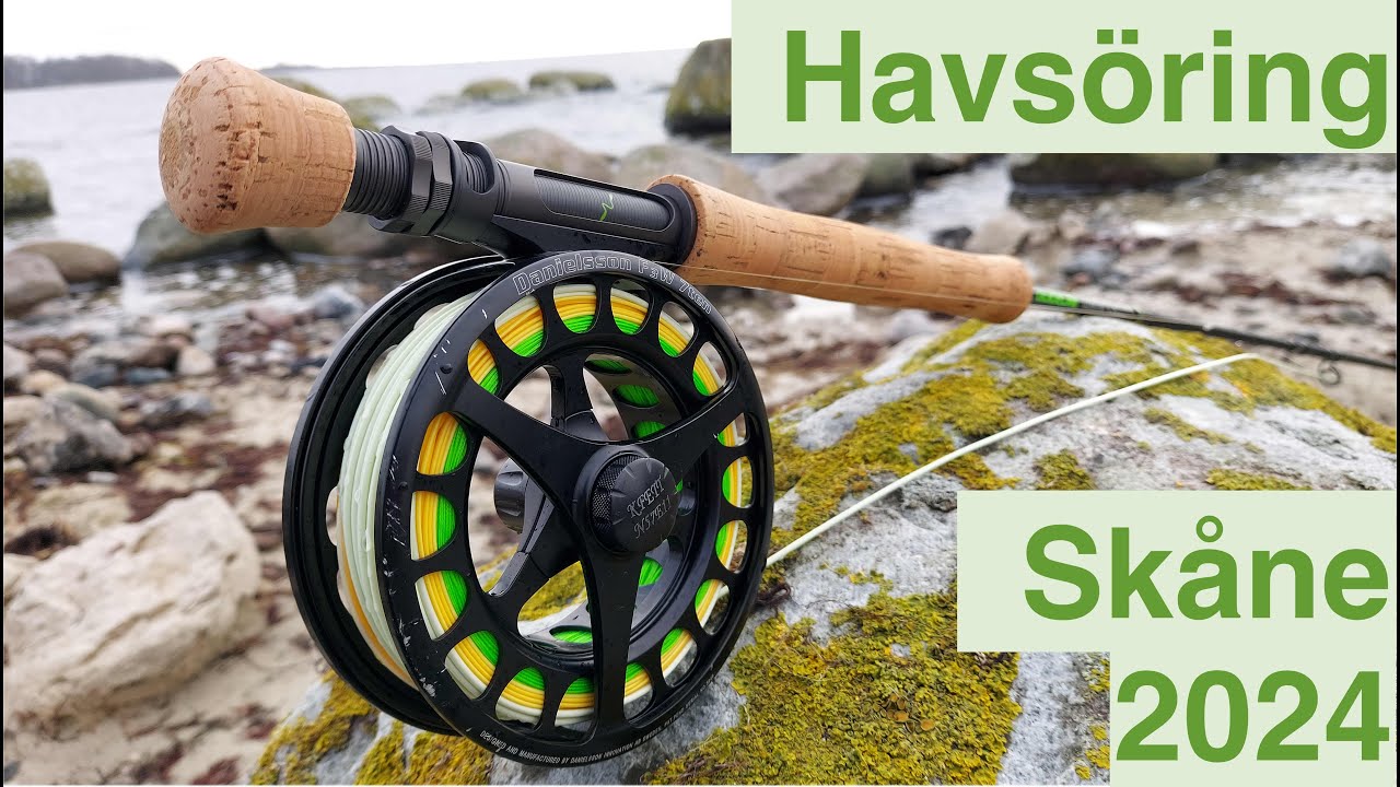 Havsöring Skåne Januari