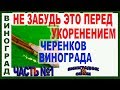 🍇 НЕ ПРИСТУПАЙ К УКОРЕНЕНИЮ ЧЕРЕНКОВ ВИНОГРАДА ПОКА НЕ.... КАК ИХ ПРАВИЛЬНО ПОДГОТОВИТЬ И ПРОВЕРИТЬ