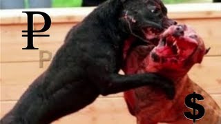Рубль - русская валютная война. Правдозор Рубль - русская валютная война. Правдозор